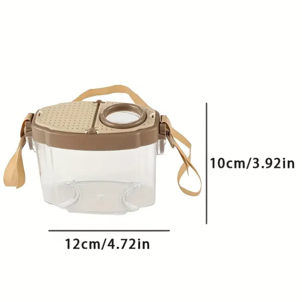 Insect Observation Box