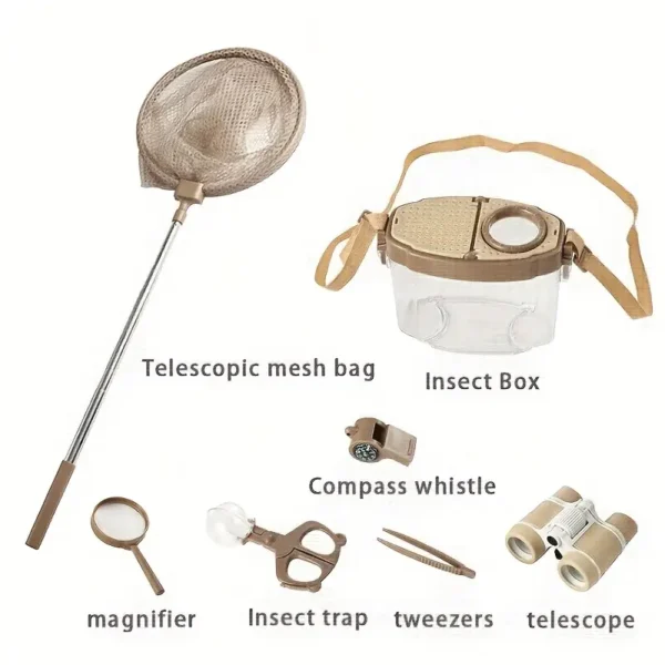 Insect Observation Box