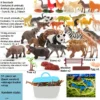 51pcs Plastic Animal Model Set